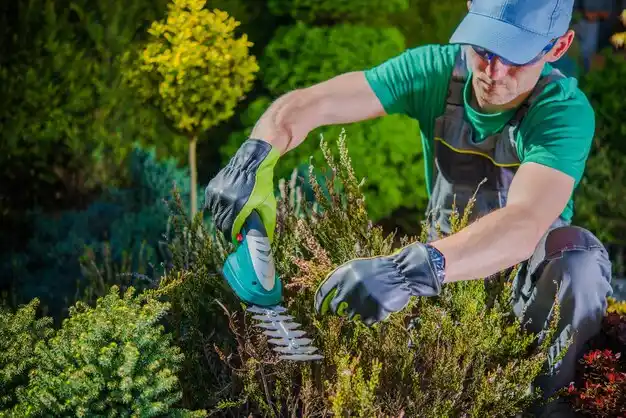 landscaping services Calais